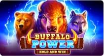Betriot slot Buffalo Power
